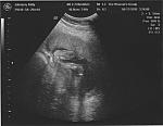 feet_03.jpg