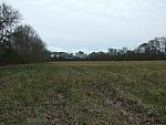 0703040069.JPG