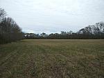 0703040070.JPG
