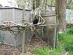 0703040080.JPG