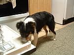 DSCF0005.JPG