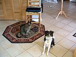 DSCF0015.JPG