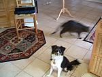 DSCF0016.JPG