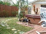 DSCF0028.JPG