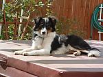 DSCF0029.JPG