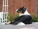 DSCF0032.JPG