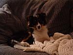 cody0011.JPG