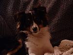 cody0012.JPG
