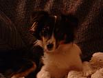 cody0013.JPG