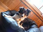 cody0018.JPG