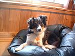 cody0019.JPG