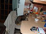 DSCF0001.JPG