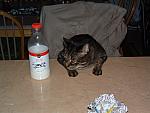 DSCF0007.JPG