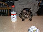 DSCF0008.JPG