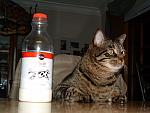 DSCF0010.JPG