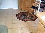 DSCF0014.JPG