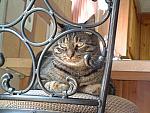 DSCF0024.JPG