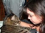 cats-008.JPG