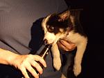 DSCF3154.jpg