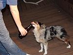 DSCF3159.jpg