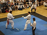 headkick_animated