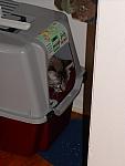 6-13-04 092.jpg