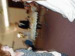 Picture 075.jpg
