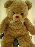 Teddy