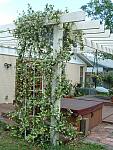 DSCF0016.JPG