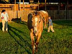 0809060040.JPG