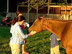 0809060045.JPG