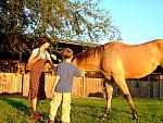 0809060051.JPG