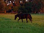 0809060078.JPG