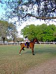 0903140105.JPG