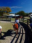 Riding Lessons
