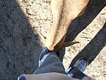 0902160080.JPG
