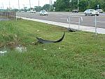 DSCF0074.JPG