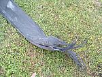 DSCF0077.JPG